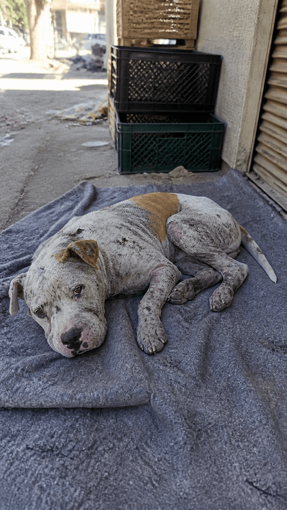 Initial assessment · injury and rescue intake