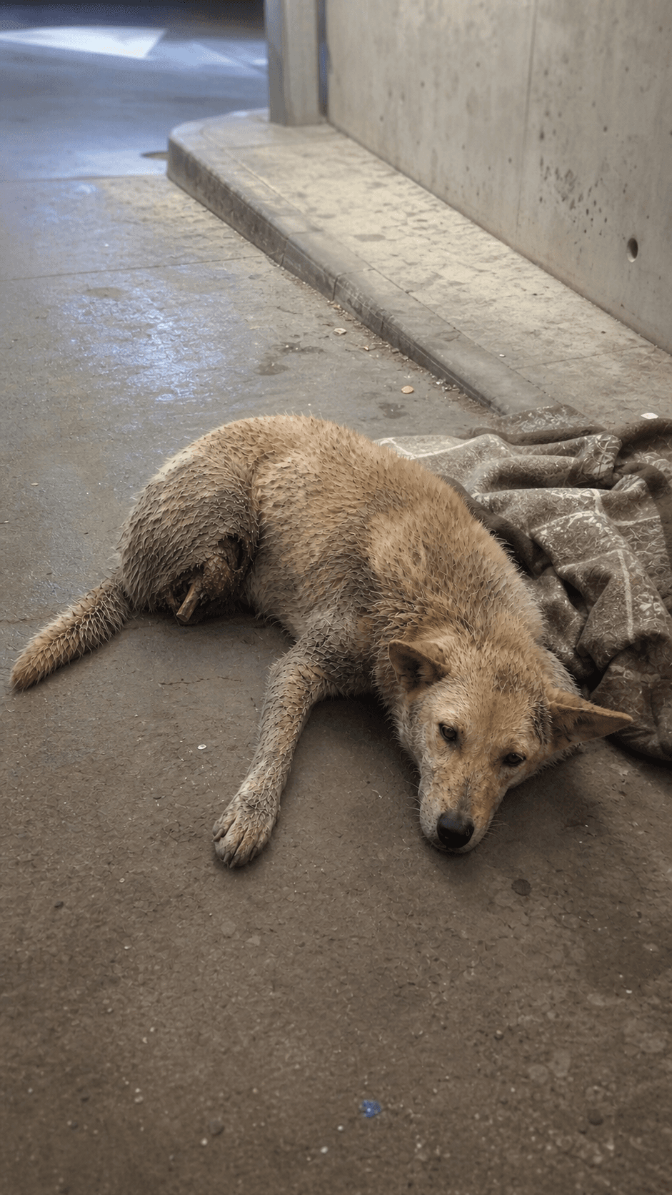 Initial assessment · injury and rescue intake