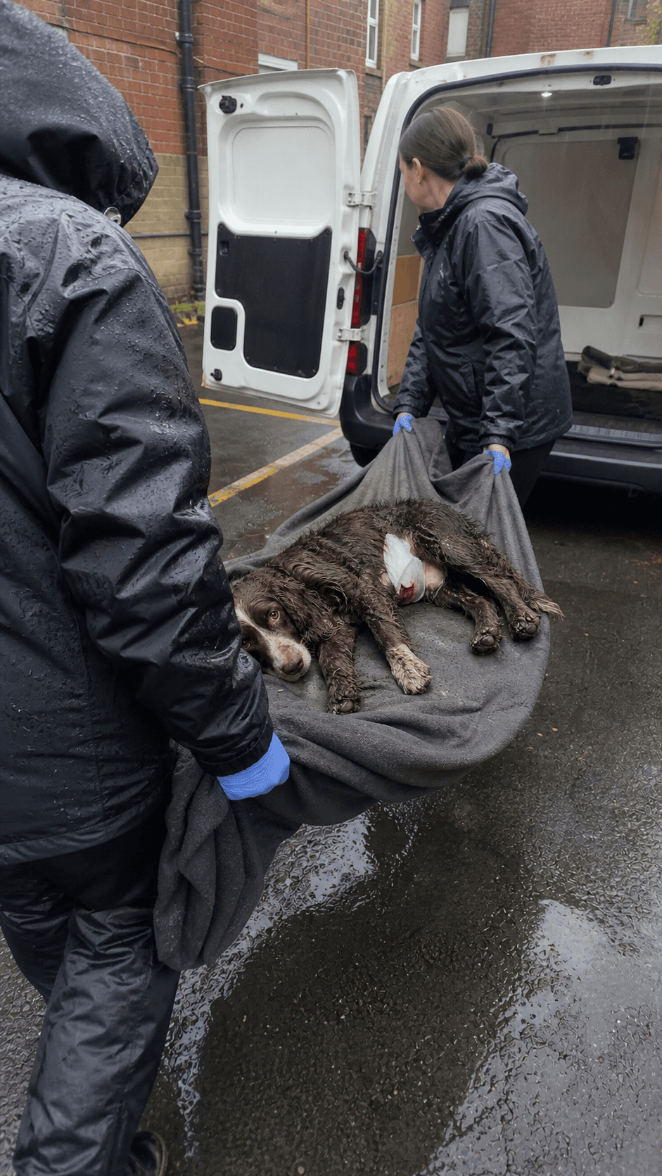 Initial assessment · injury and rescue intake