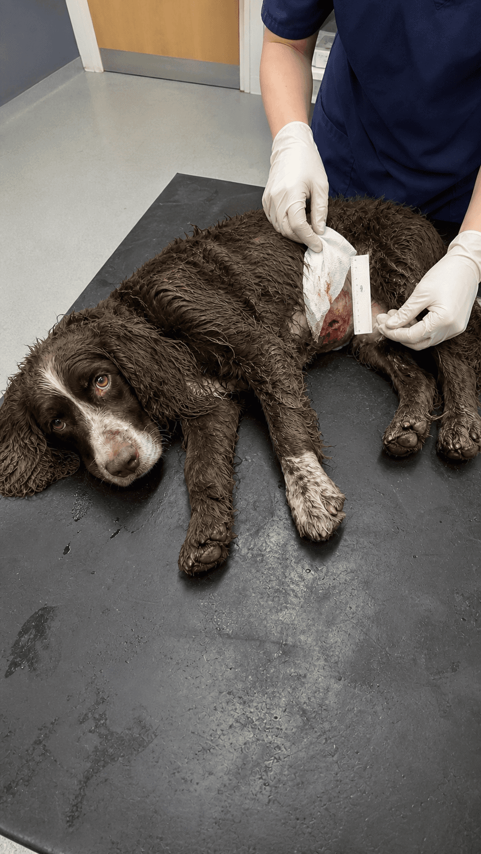 Initial assessment · injury and rescue intake