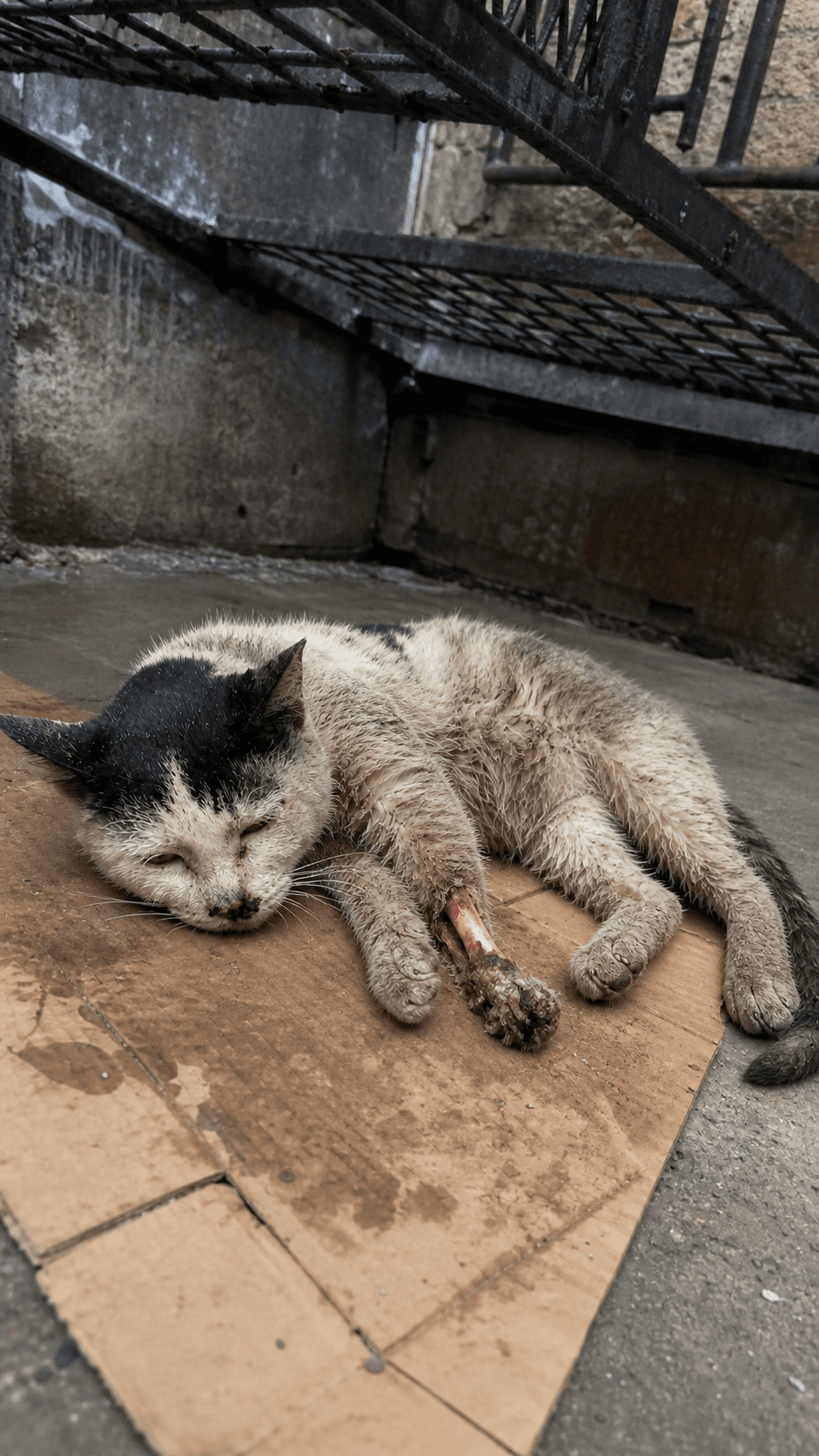 Initial assessment · injury and rescue intake