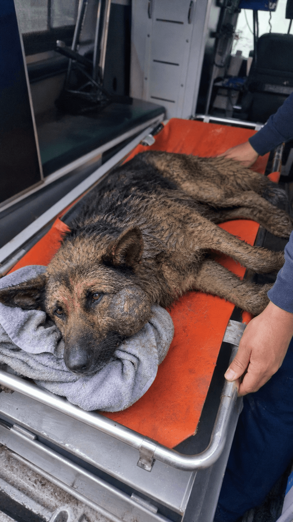 Initial assessment · injury and rescue intake