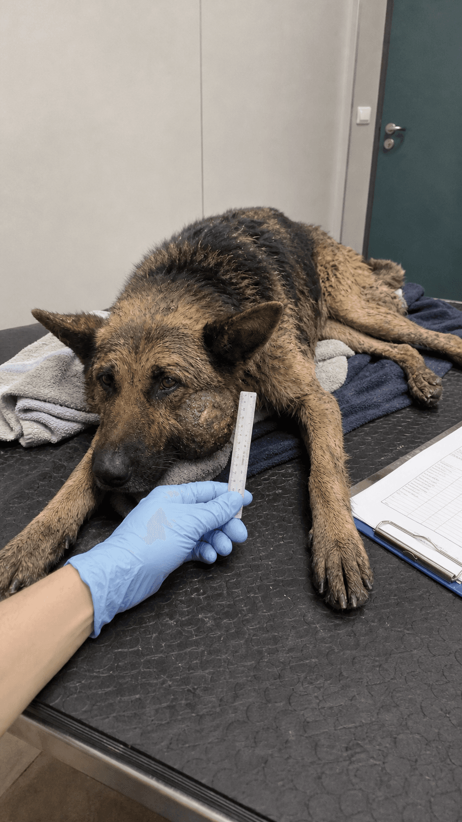 Initial assessment · injury and rescue intake