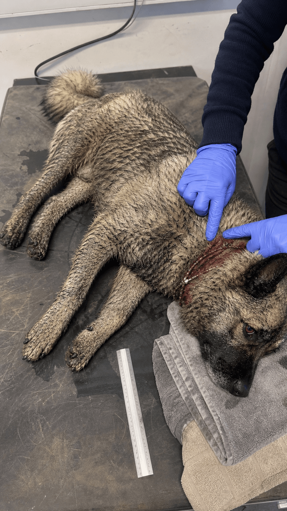 Initial assessment · injury and rescue intake